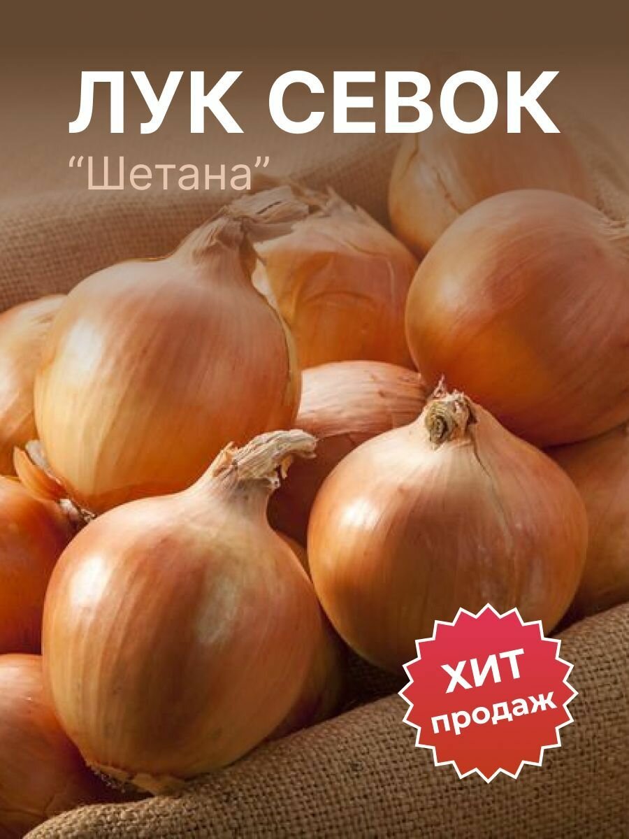 Лук севок на посадку 