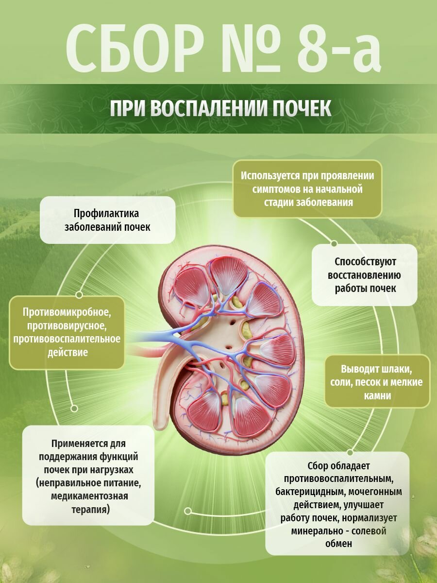 Картинки Травы Кавказа Сбор № 8-а при заболевании почек, 130 гр