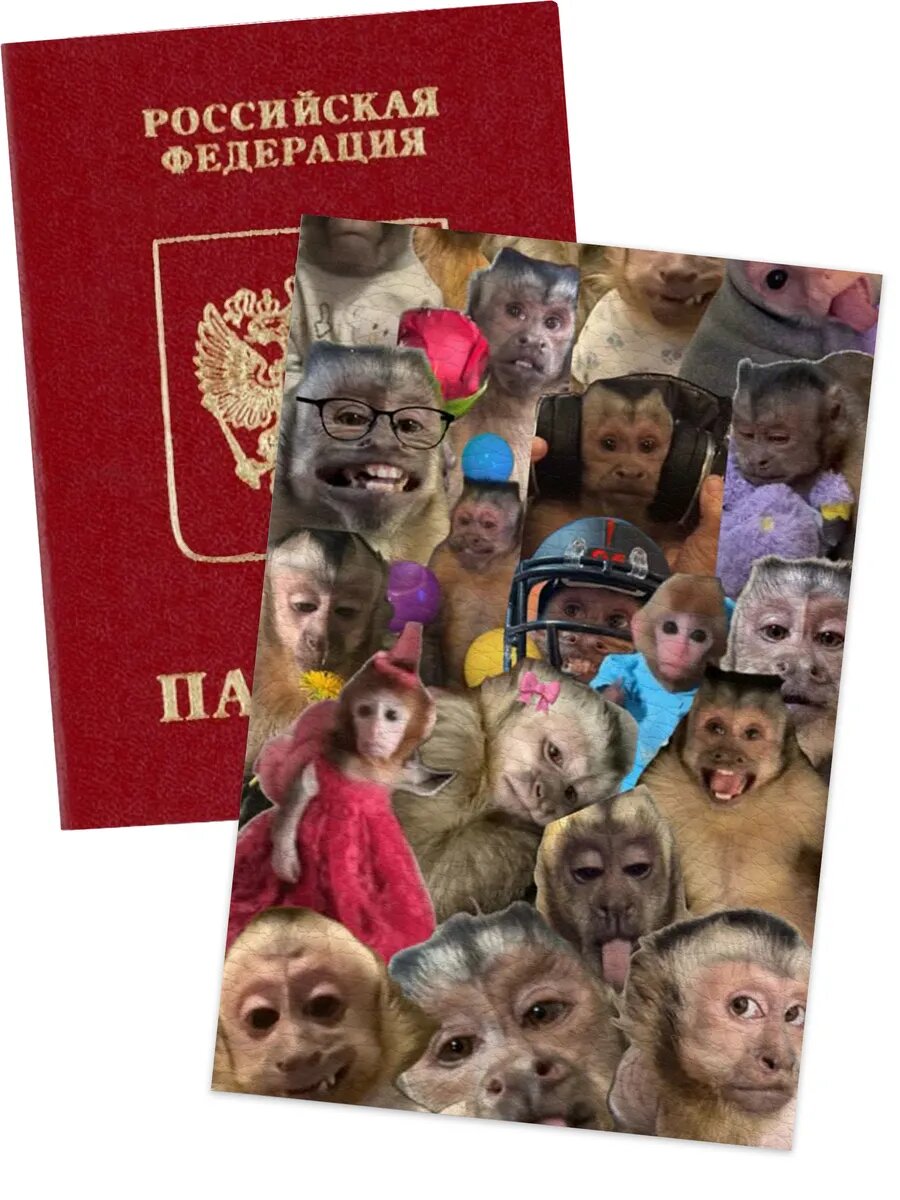Обложка для паспорта