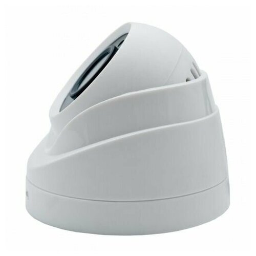 IPTRONIC IPT-IPL1080DP28P Цветная купольная IP-видеокамера 647900₽