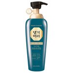 Шампунь с кофеином для жирной кожи головы DAENG GI MEO RI Hair Loss Care Caffein Shampoo For Oily Hair (without individual box) (400 мл) - изображение