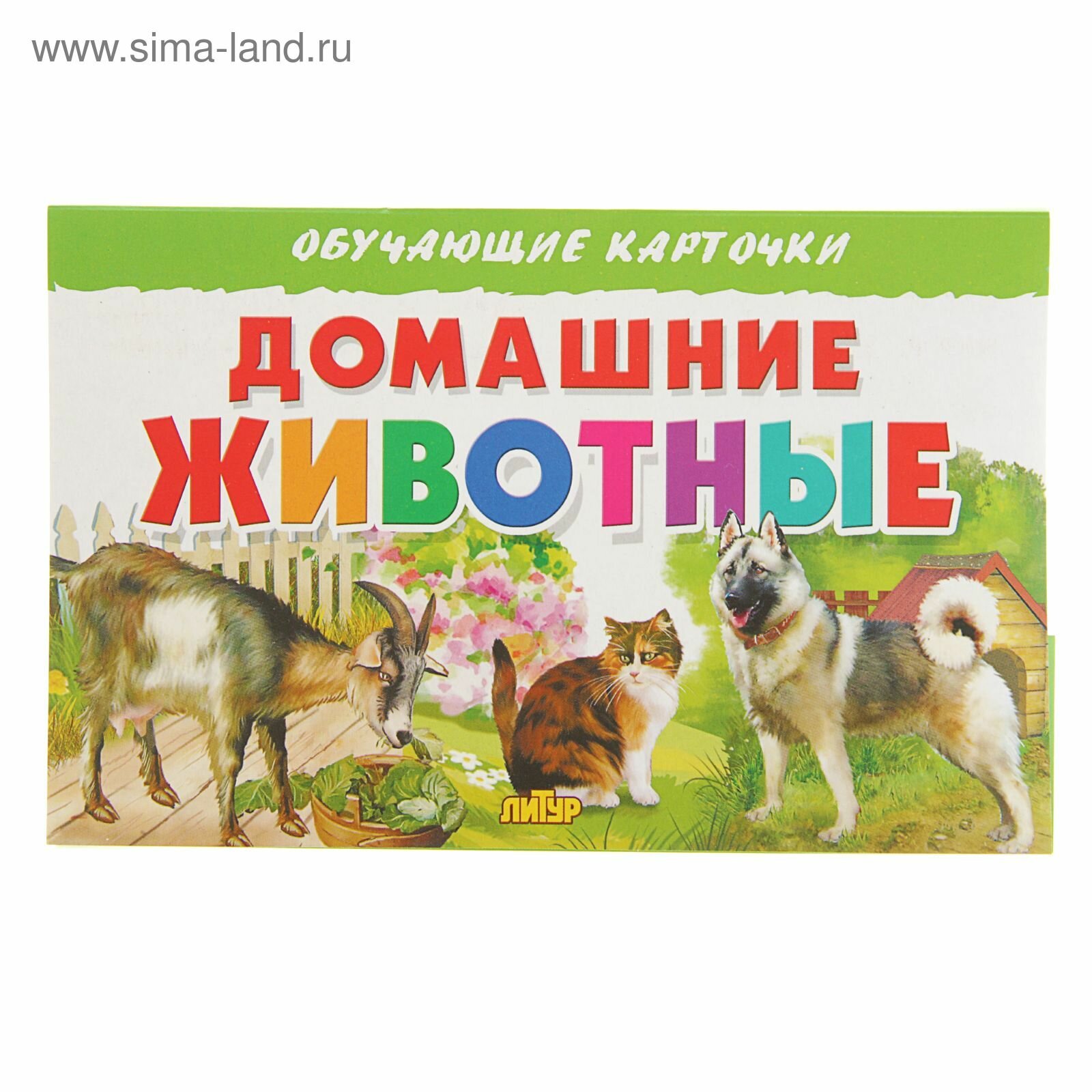 Обучающие карточки. Домашние животные - фото №8
