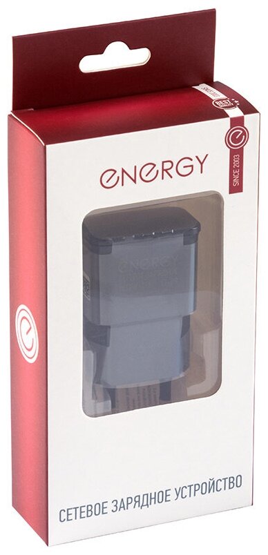 Сетевое зарядное устройство дляартфонов планшетов Energy ET-09 10А цвет - чёрный