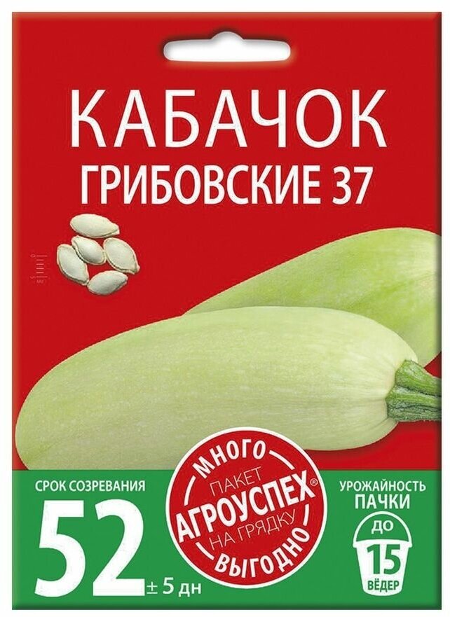 Кабачок Грибовский 37, семена Агроуспех Много-Выгодно 10г