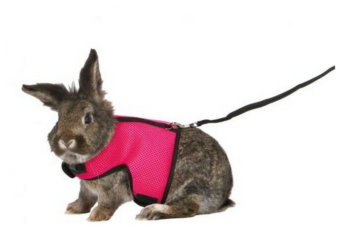 Шлейка для кроликов Trixie Soft Harness XL - фотография № 2