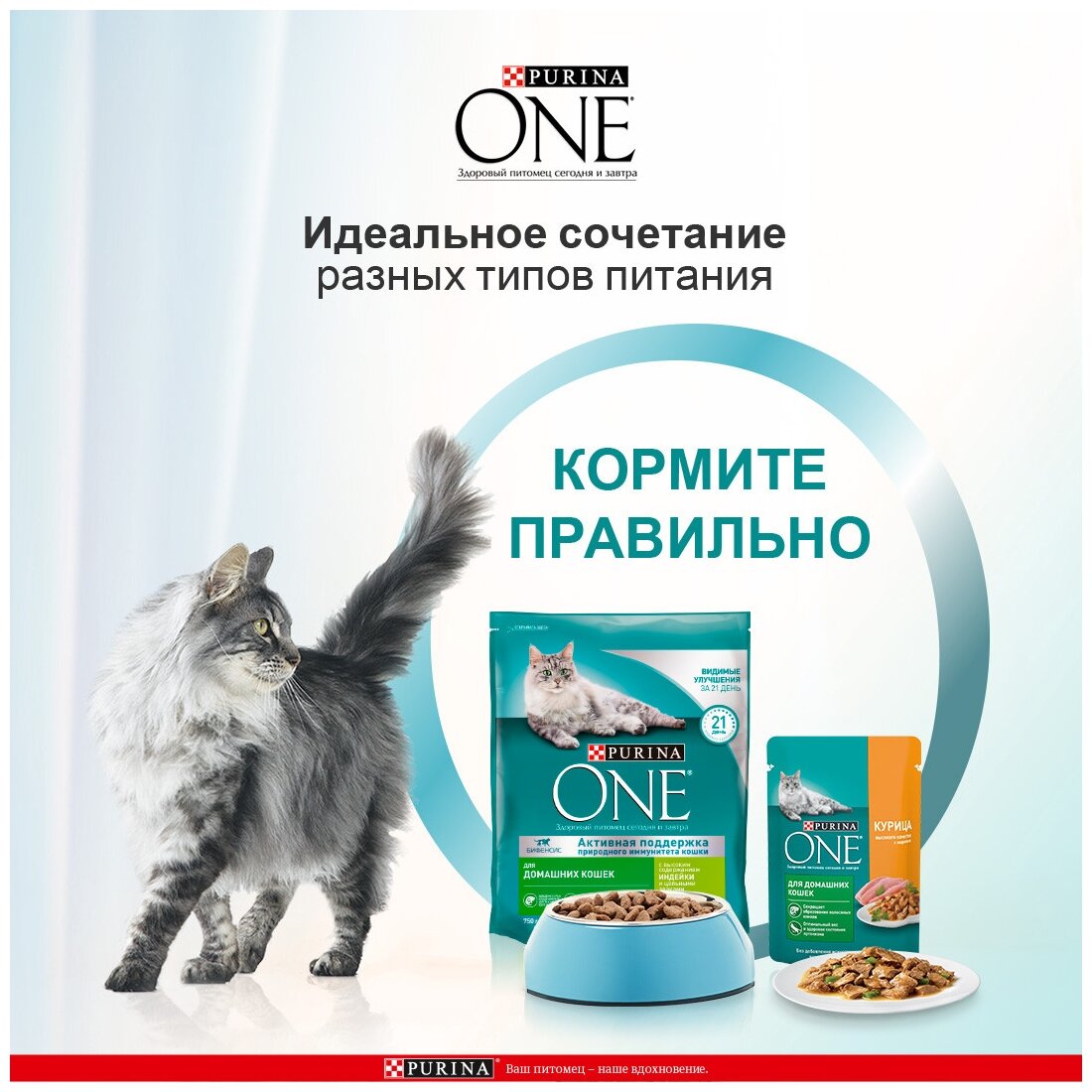 Сухой корм Purina ONE для домашних кошек с индейкой и цельными злаками, Пакет, 750 г,Для взрослых кошек - фотография № 6