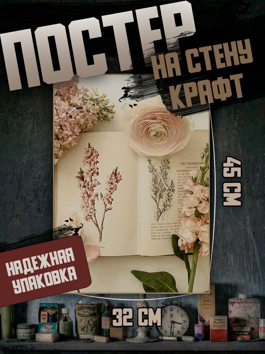 Плакат на стену 32х45 эстетика книг