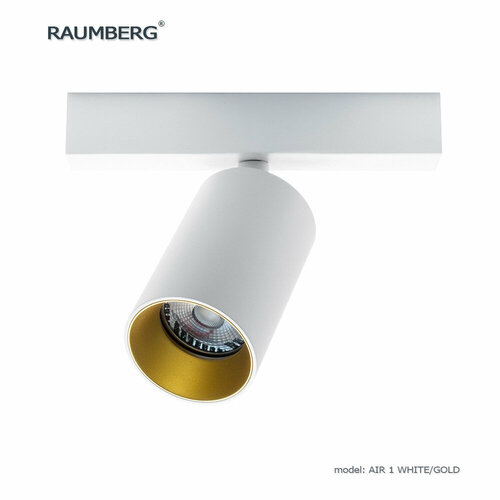 Накладной настенно-потолочный поворотный светильник RAUMBERG AIR 1 wh/gd белый с золотистой вставкой