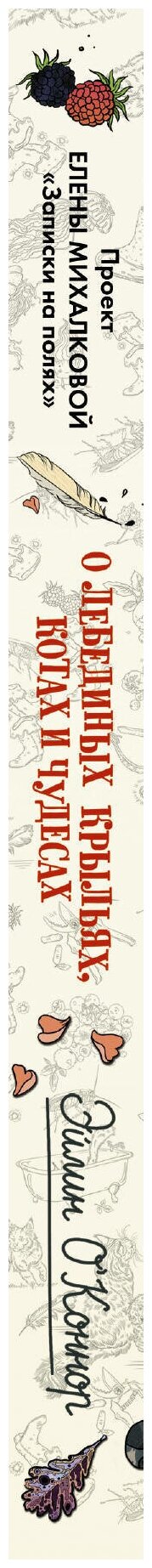 О лебединых крыльях, котах и чудесах - фото №3