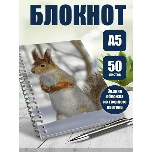 Блокнот А5 фотографии Удивительный мир животных