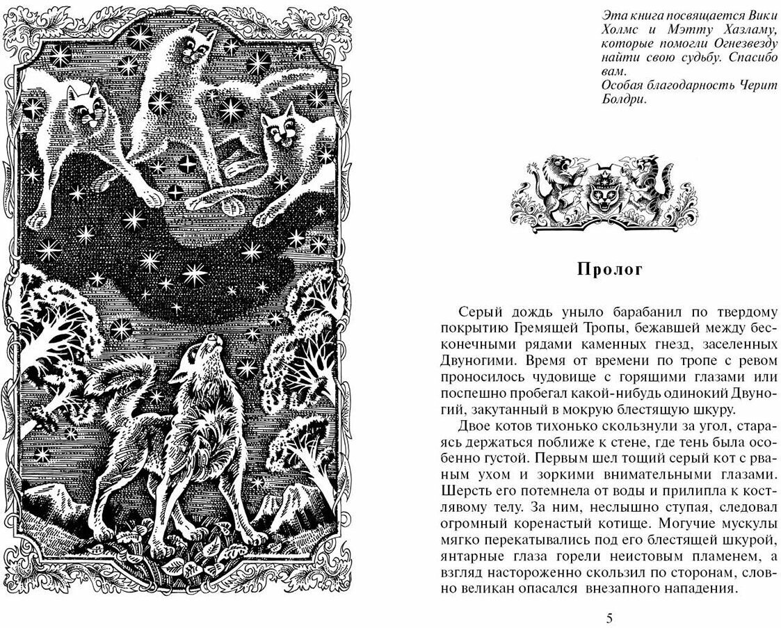 Книга Битва за лес (Хантер Э.) - фото №2