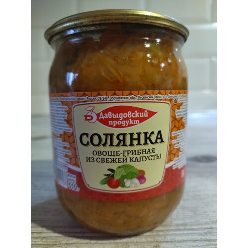 Солянка овоще-грибная из свежей капусты 510 г Давыдовский продукт 2 шт