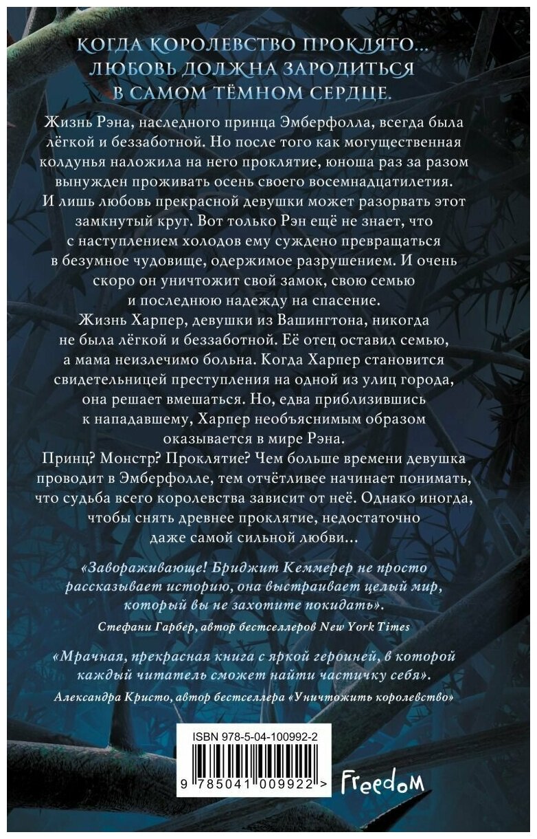 Проклятие одиночества и тьмы (Кеммерер Бриджит) - фото №16
