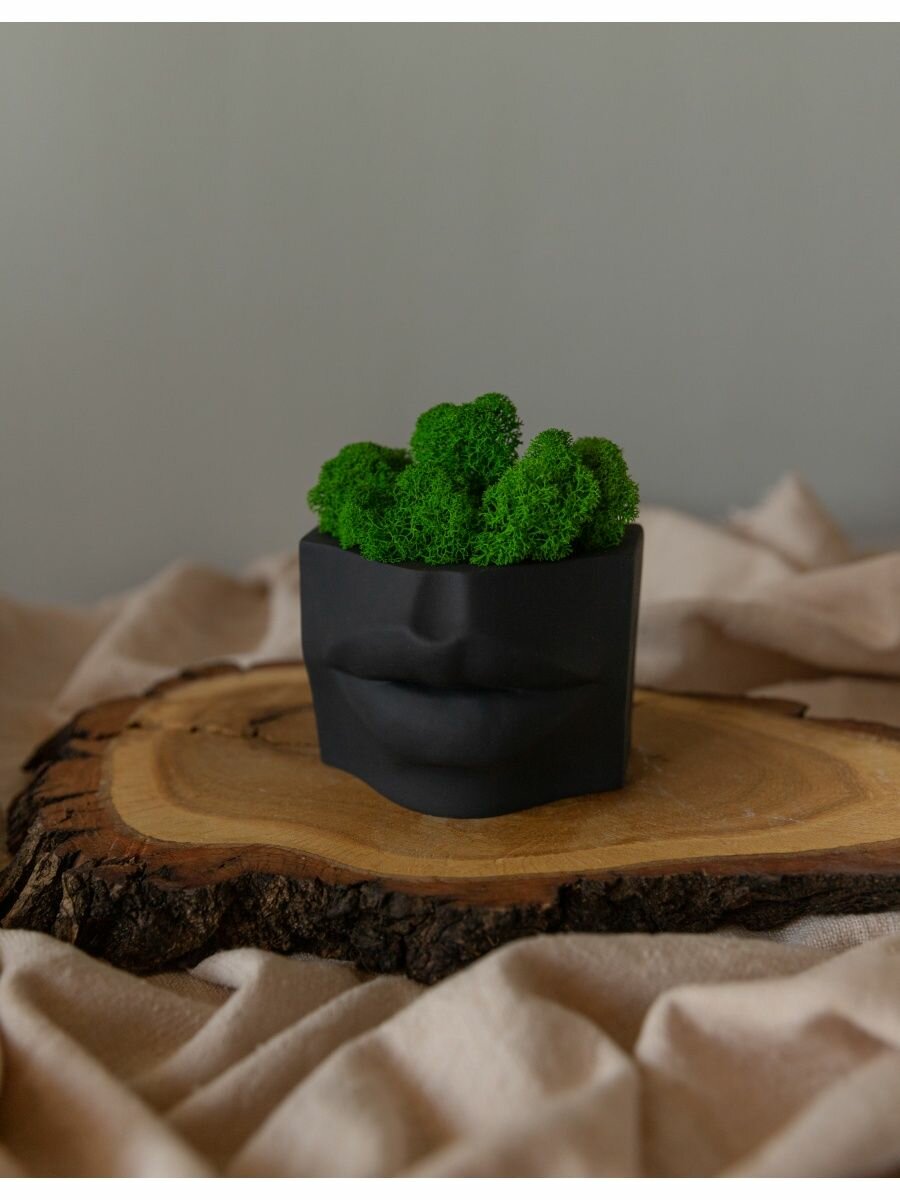 фото Кашпо "Поцелуй природы"