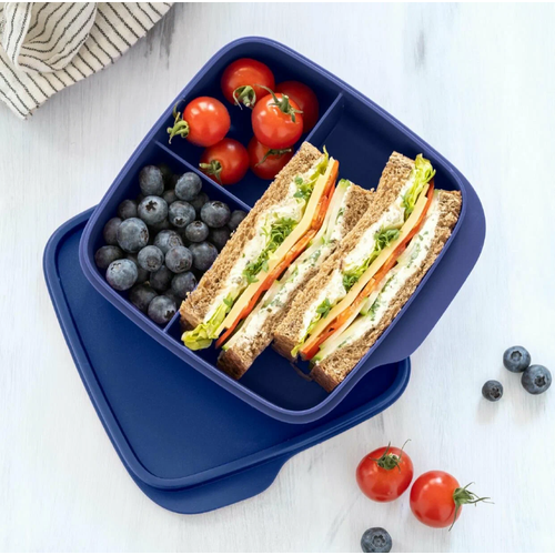 Tupperware Контейнер "Школьник" с разделителями 550 мл синий