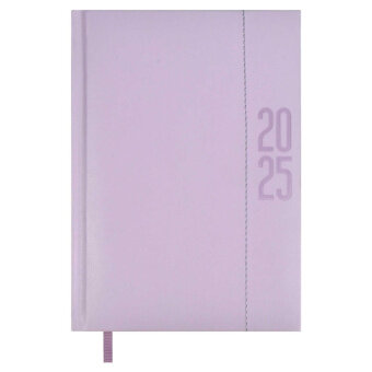Ежедневник датированный 2025 ESCALADA, #илон маск, А6+, 176 л.