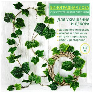 <b>Искусственная</b> лоза виноградная <b>лиана</b> для декора "Виноград", длина 2,7 м. 22 пары листьев <span>7 метра для вертикального озеленения и интерьерного декора. декоративное изделие представляет собой гибкую пластиковую <b>лиану</b> с равномерно распределенными текстильными листочками и спиральными усиками. всего на <b>искусственной</b> <b>лиане</b> 22 пары листьев четырех размеров: 5</span>