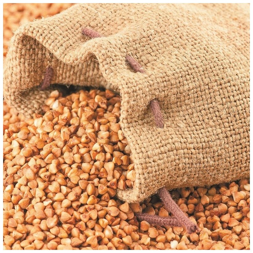 подушка ecotex гречиха (пг44) 40 х 40 см