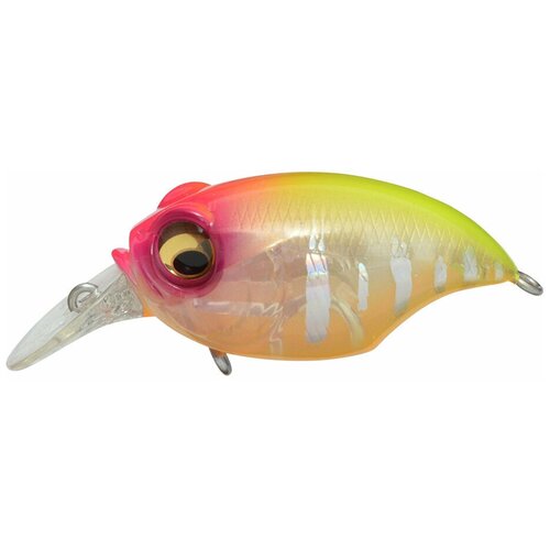 Megabass New SR-X Griffon hachiro reaction