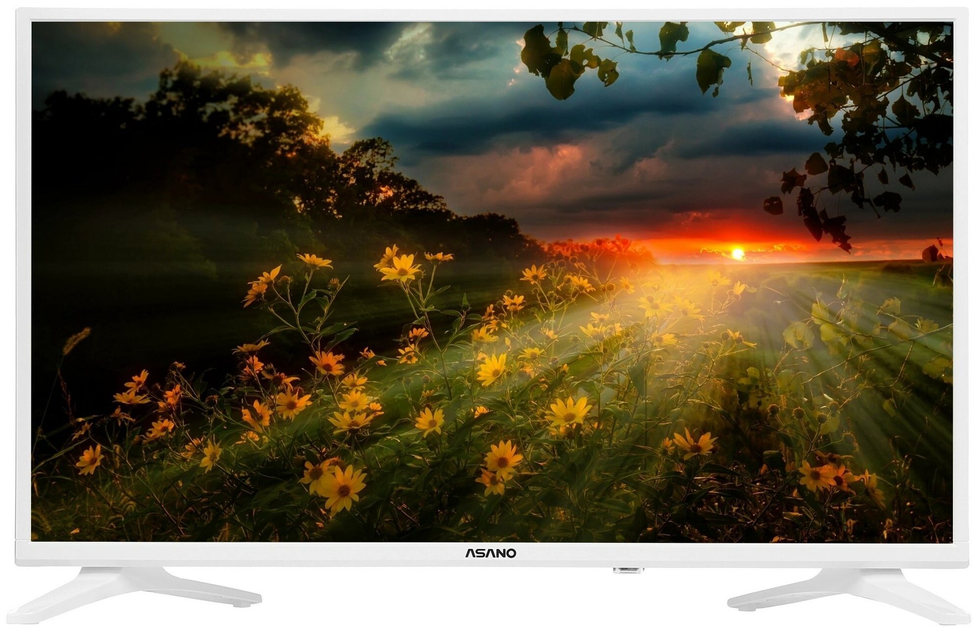 Телевизор LCD 32 32LH8011T ASANO