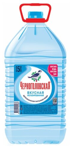 Вода питьевая Черноголовская 2 шт по 5л - фотография № 6