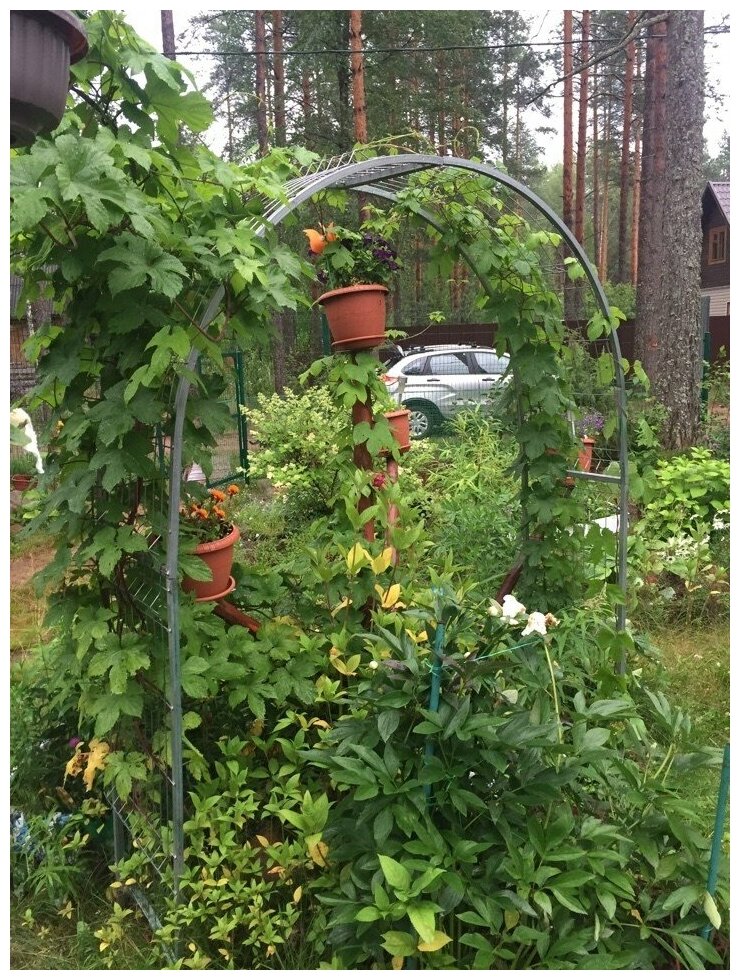Арка садовая для вьющихся растений, универсальная - разборная, оцинкованная 3Д. 250 х 215 х 50 см. - фотография № 4