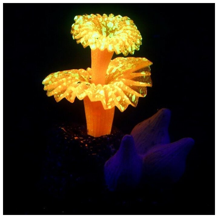 Декор для аквариума"Коралл на платформе" силиконовый, 6 х 4 х 7 см, оранжевый 7108839 . - фотография № 2