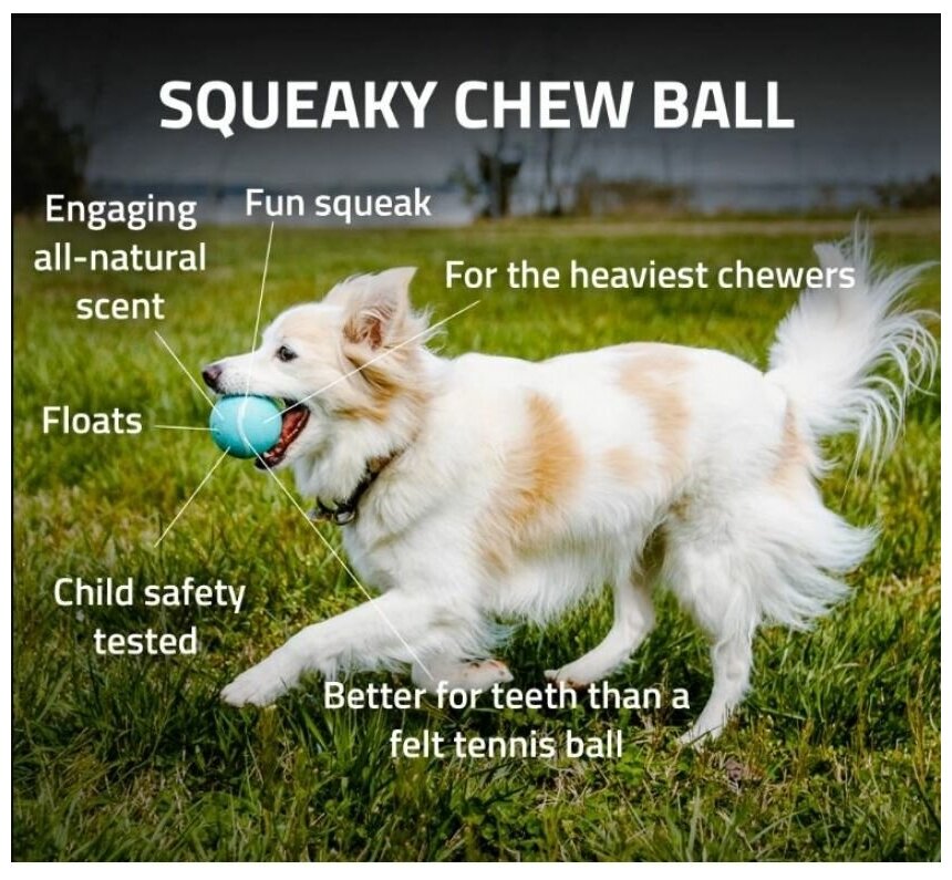 Playology хрустящий жевательный мяч SQUEAKY CHEW BALL 6 см с пищалкой и с ароматом арахиса голубой - фотография № 6
