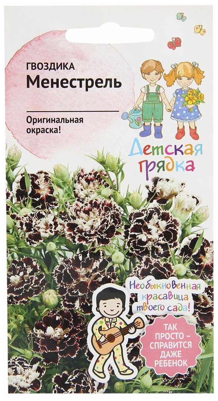 Гвоздика