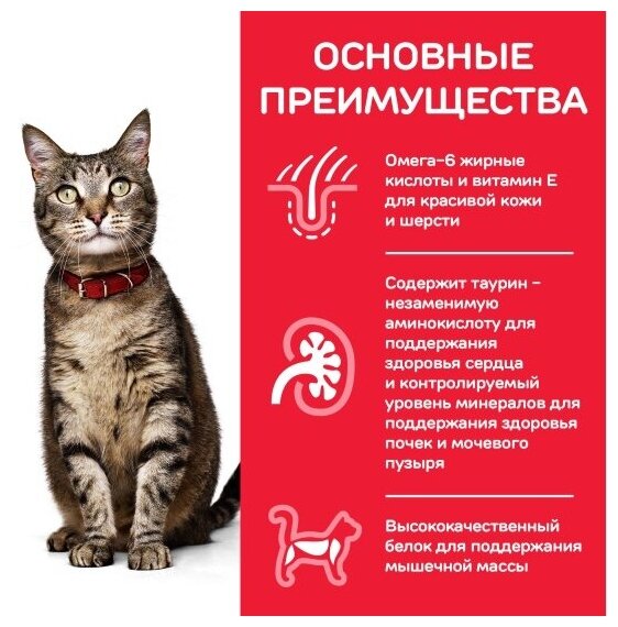 "Сухой корм Hill's Science Plan для взрослых кошек для поддержания жизненной энергии и иммунитета, с ягненком, 10 кг" - фотография № 12