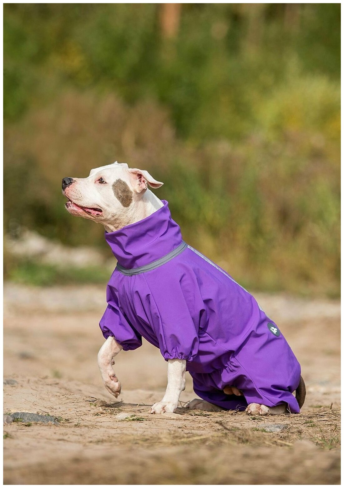 Комбинезон для собак Одежда для животных - фотография № 8