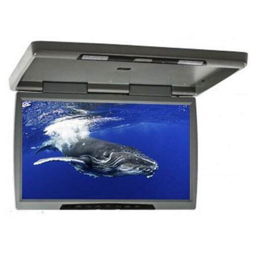 Монитор ERGO Electronics ER23H (серый)