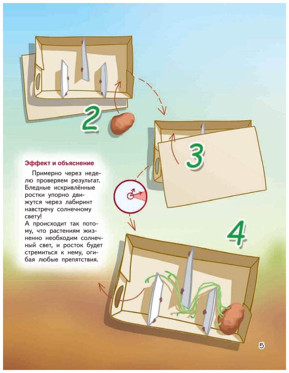 Весёлые научные опыты. Увлекательные эксперименты с растениями и солнечным светом - фото №4