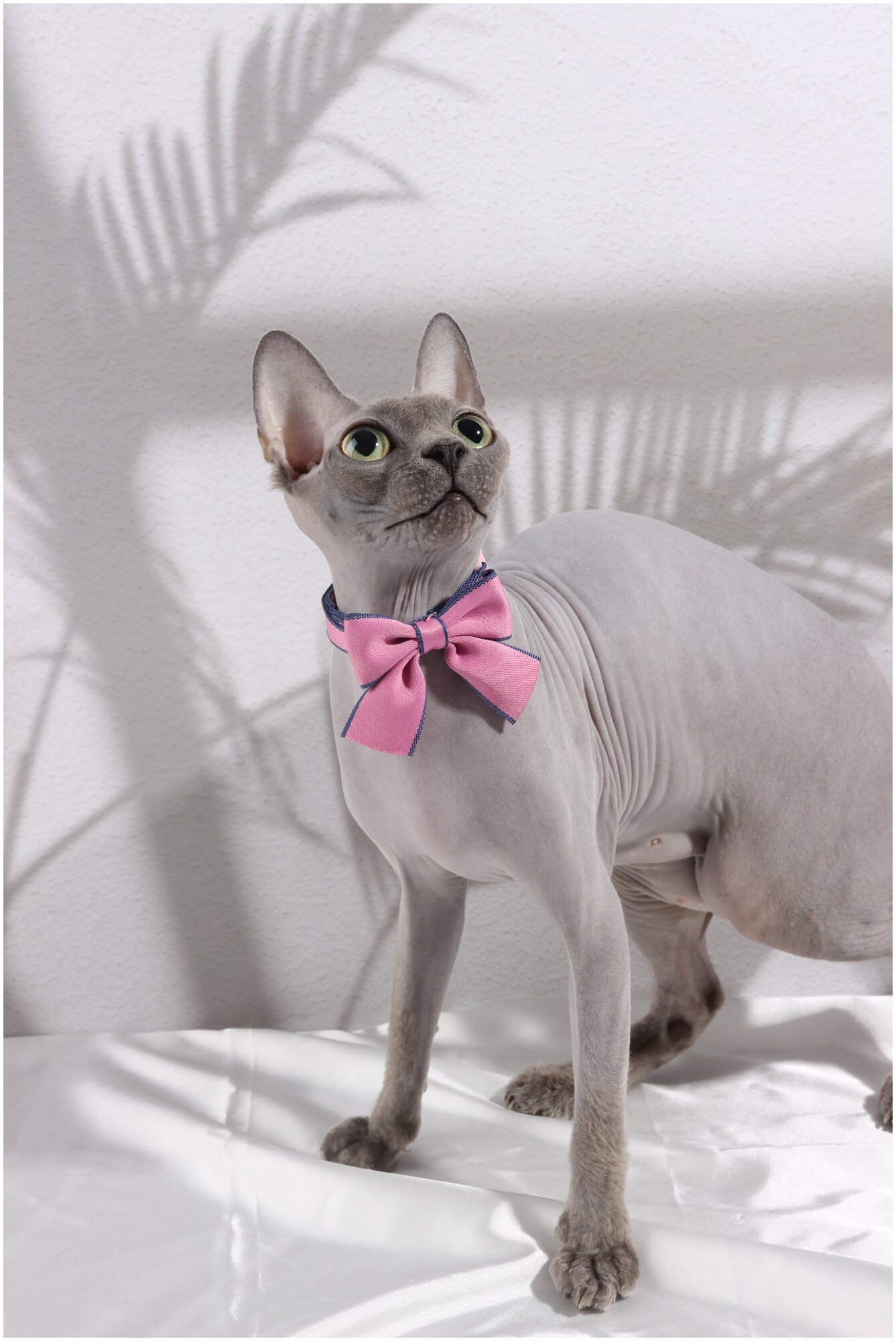 Бант для кошек Сфинкс NICOVAER (20-27 см, Розовый) - фотография № 1