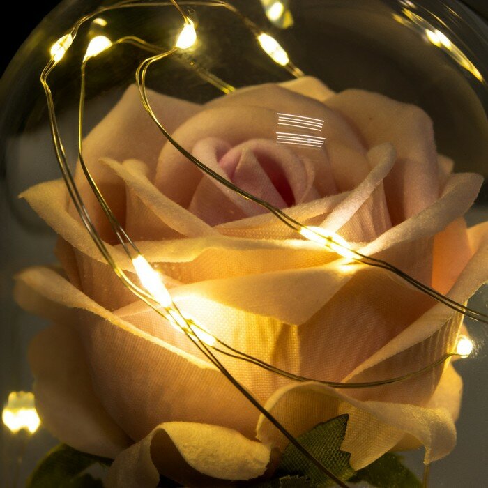 RISALUX Ночник "Розовая роза" LED 3AAA 8х8х17 см