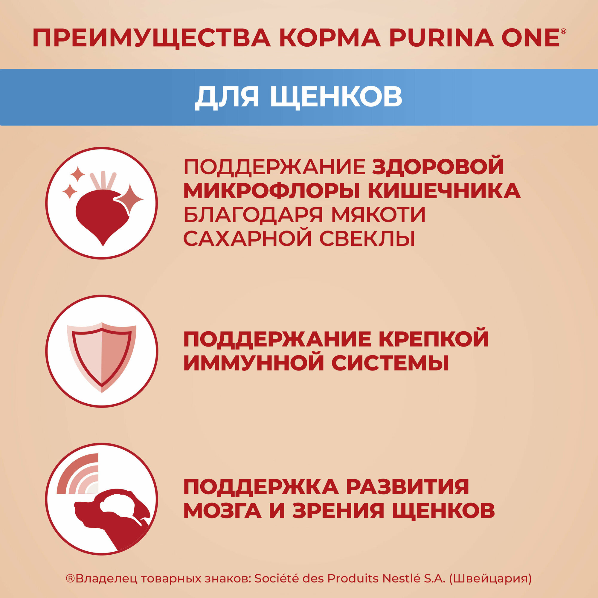 Сухой корм PURINA ONE® для щенков средних и крупных пород с курицей и рисом, 1,8 кг — фото 1