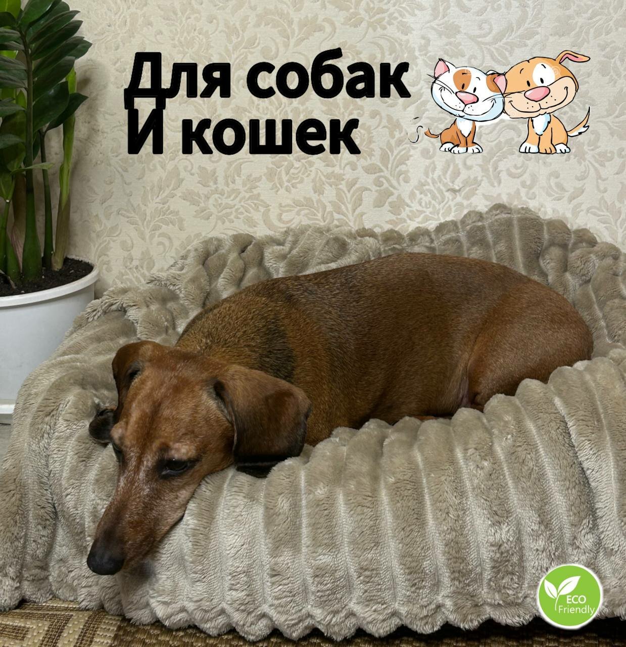 Плед для животных, кошек и собак, мелких и средних пород — фото 1