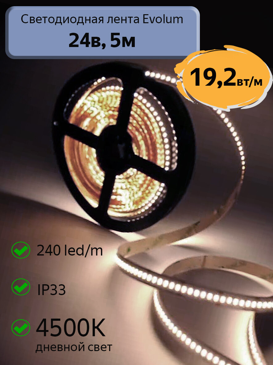Светодиодная лента Evolum  24В  19 2Вт м  4500К дневной свет  240 led m  IP33  5м