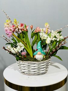 Живые первоцветы / Крокусы и альстромерия / Верба живая / Цветы <b>в</b> кашпо весенние Первоцветы, лукович