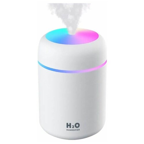 Увлажнитель воздуха Goodly Humidifier H2O портативный с LED подсветкой 300 мл белый 77000₽