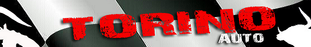 TORINO AUTO AF-001А/AF-004 Рамка знака номерного нержавеющая стаь черная TORINO
