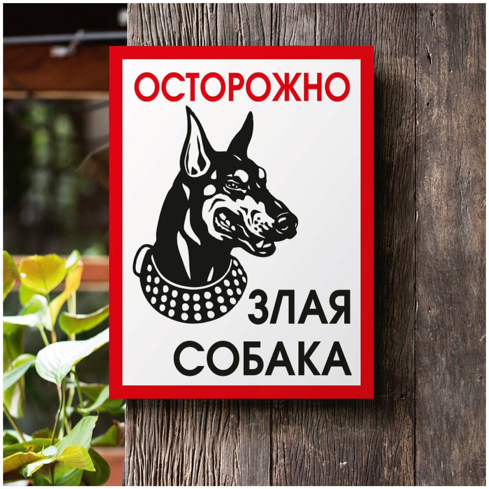 Табличка "Осторожно злая собака". Размер 300х400 мм. ПВХ 3 мм. УФ печать. — фото 1