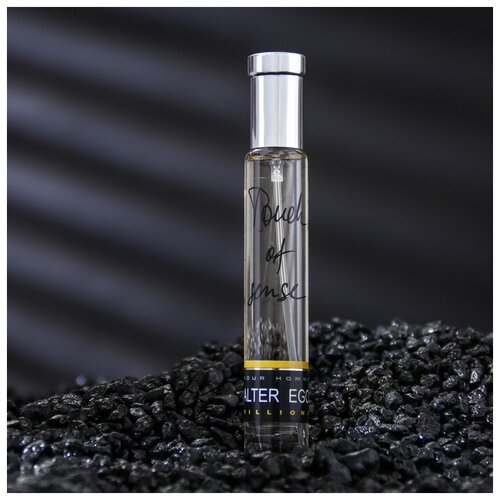 Туалетная вода мужская Alter Ego Millions, 30 мл