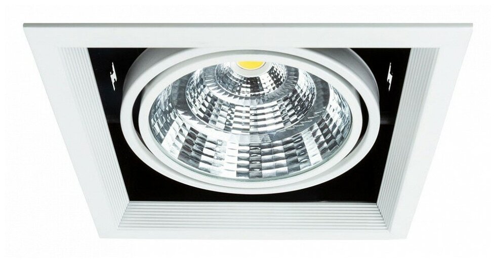 Встраиваемый светильник Arte Lamp Merga A8450PL-1WH
