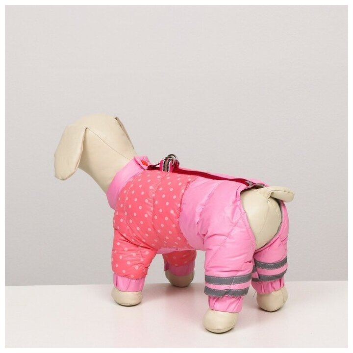 Комбинезон для собак Sima-land "Горошек", размер 14, розовый (6968550) - фотография № 3