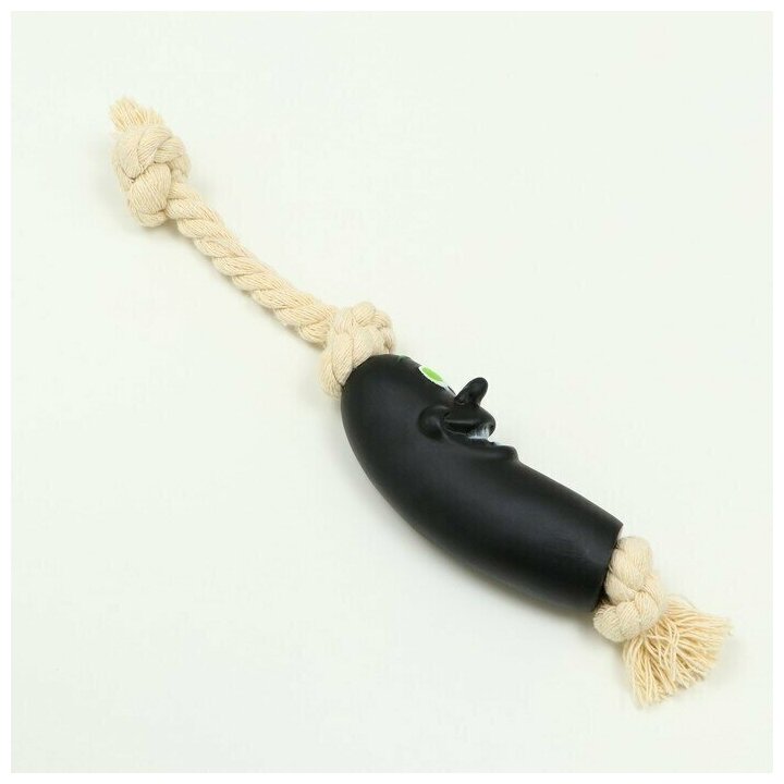 Игрушка "Обугленная сосиска на верёвке" для собак, 14 см, чёрная - фотография № 3