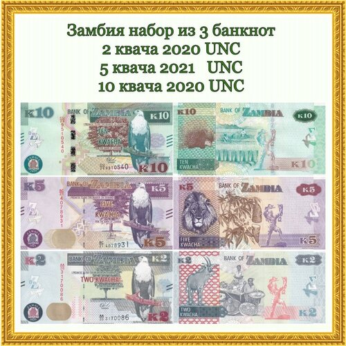 Замбия набор из 3 банкнот 2 квача 2020, 5 квача 2021, 10 квача 2020. Фауна UNC кигелия колбасное дерево семена цветы
