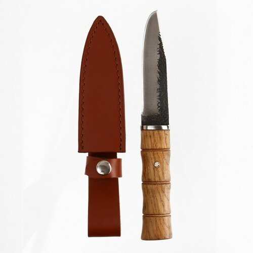 Нож туристический Бамбук, клинок 9см 7867253
