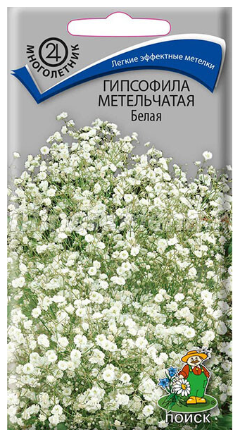 Гипсофила метельчатая Белая 0,2 гр ПОИСК - фото №2