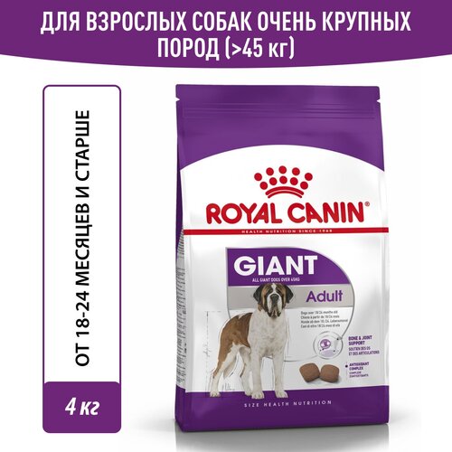 Корм для собак Royal Canin Giant Adult ( Джайнт Адалт) сухой для взрослых собак очень крупных размеров старше 18 месяцев, 4 кг royal canin giant adult для взрослых собак крупных пород 4 кг х 4 шт